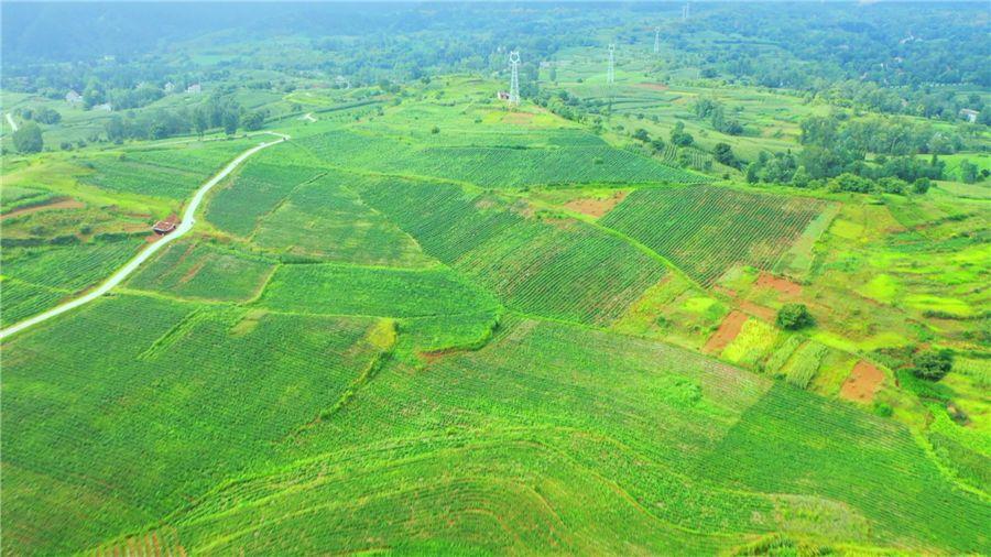 CA88(中国区)唯一官方网站