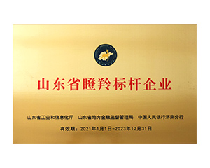 ɽ��ʡ��������ҵ